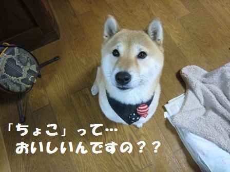 ���т����̂܂�������L�B