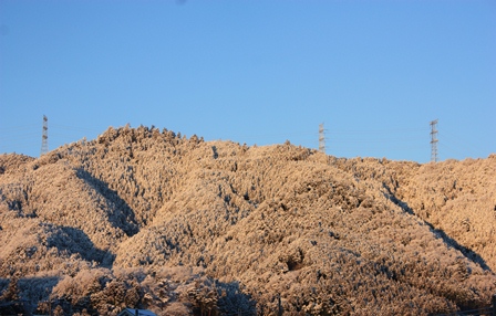 ���т����̂܂�������L�B