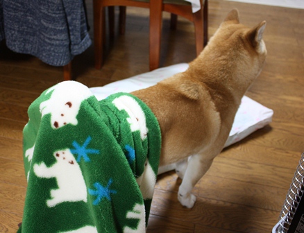 ���т����̂܂�������L�B