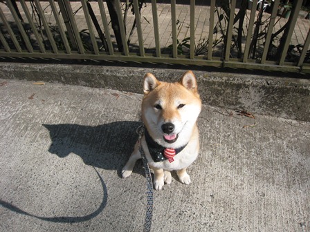 ���т����̂܂�������L�B