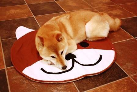 ���т����̂܂�������L�B