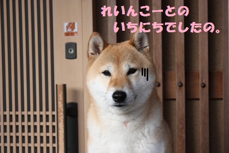 ���т����̂܂�������L�B