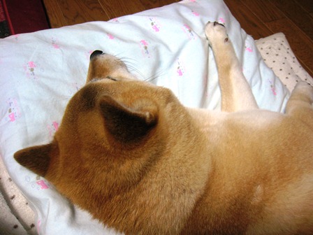 ���т����̂܂�������L�B