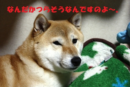 ���т����̂܂�������L�B