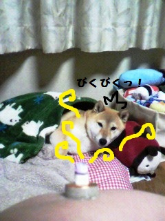 ���т����̂܂�������L�B