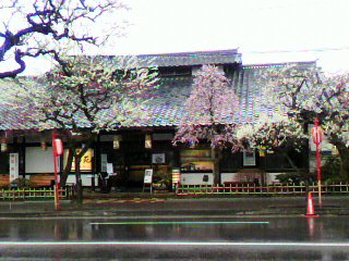 ���т����̂܂�������L�B