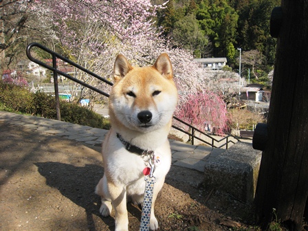 ���т����̂܂�������L�B