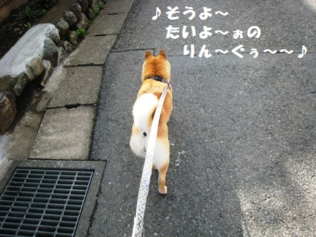 ���т����̂܂�������L�B