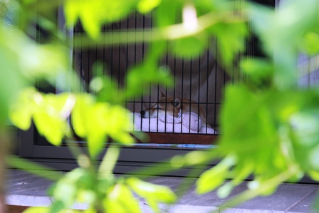 ���т����̂܂�������L�B