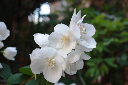 ���т����̂܂�������L�B