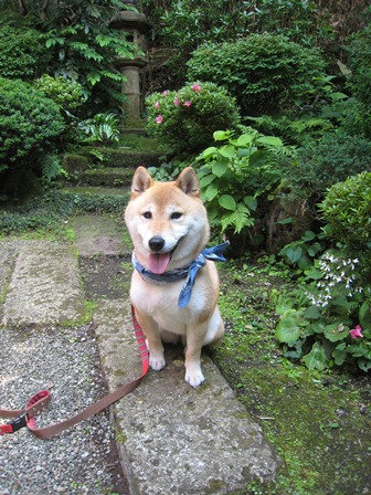 ���т����̂܂�������L�B