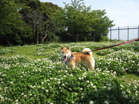 ���т����̂܂�������L�B