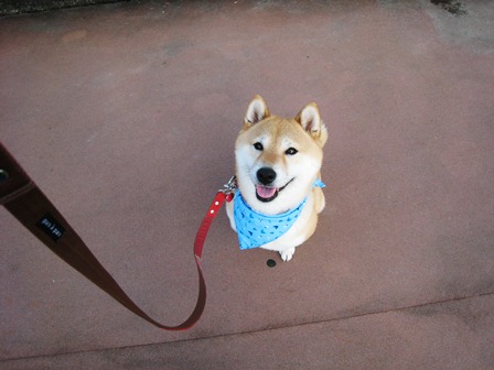 ���т����̂܂�������L�B