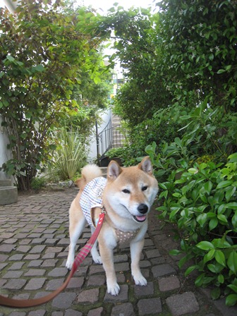 ���т����̂܂�������L�B