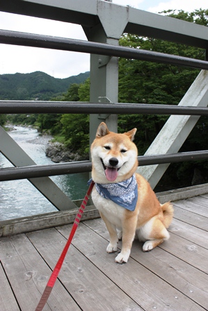 ���т����̂܂�������L�B