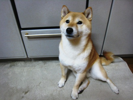 ���т����̂܂�������L�B