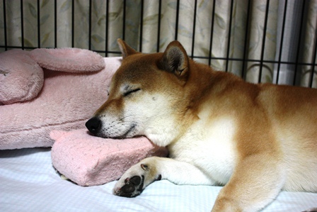 ���т����̂܂�������L�B