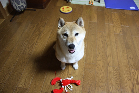 ���т����̂܂�������L�B