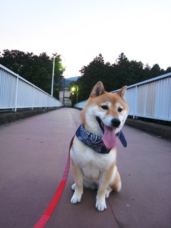 ���т����̂܂�������L�B