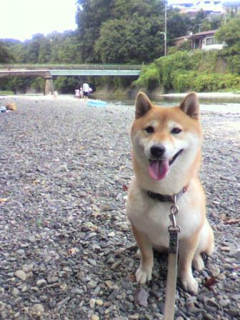 ���т����̂܂�������L�B