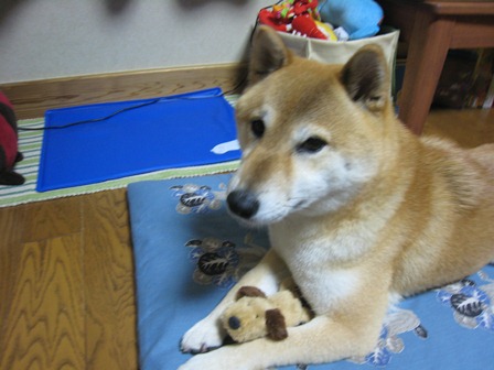 ���т����̂܂�������L�B