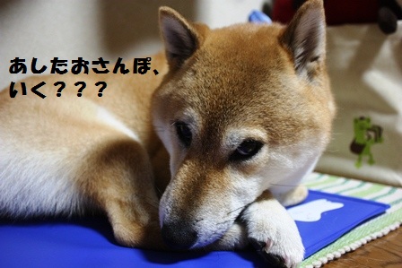 ���т����̂܂�������L�B