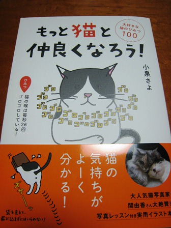 ���т����̂܂�������L�B