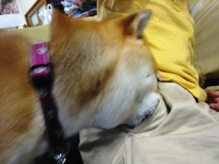 ���т����̂܂�������L�B