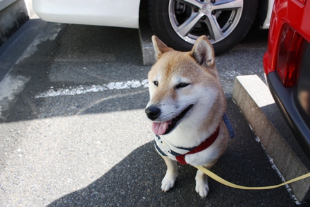 ���т����̂܂�������L�B