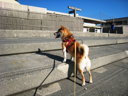 ���т����̂܂�������L�B