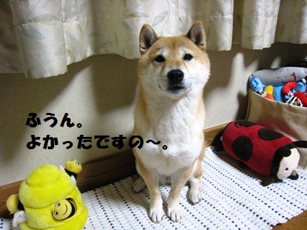 ���т����̂܂�������L�B