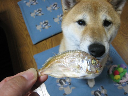 ���т����̂܂�������L�B