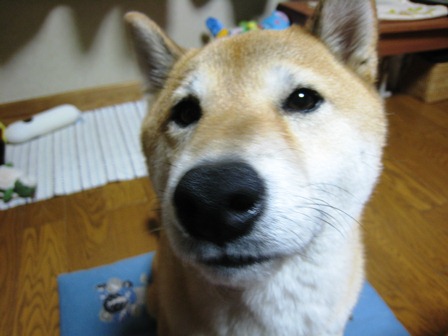 ���т����̂܂�������L�B