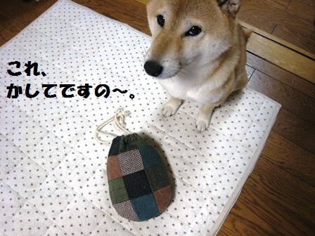 ���т����̂܂�������L�B