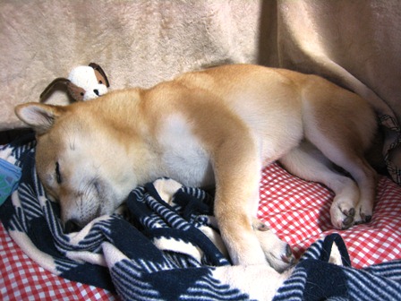 ���т����̂܂�������L�B