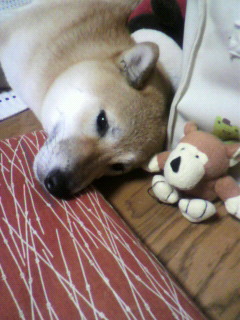 ���т����̂܂�������L�B