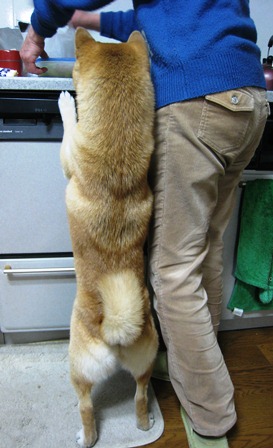 ���т����̂܂�������L�B