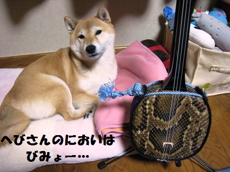 ���т����̂܂�������L�B