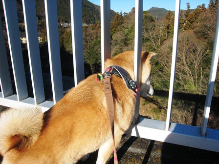 ���т����̂܂�������L�B