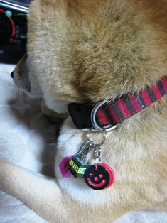 ���т����̂܂�������L�B