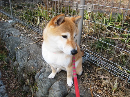 ���т����̂܂�������L�B