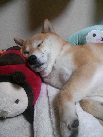 ���т����̂܂�������L�B