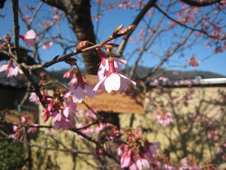 ���т����̂܂�������L�B