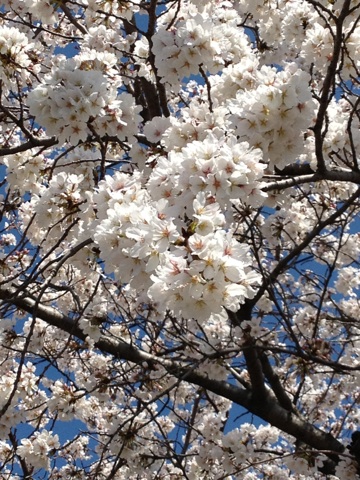 ���т����̂܂�������L�B