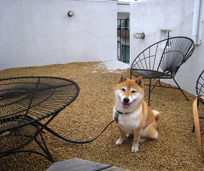 ���т����̂܂�������L�B