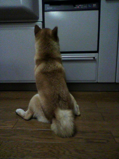 ���т����̂܂�������L�B