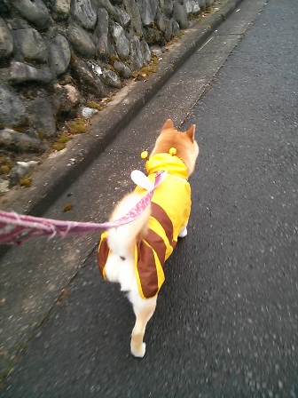 ���т����̂܂�������L�B