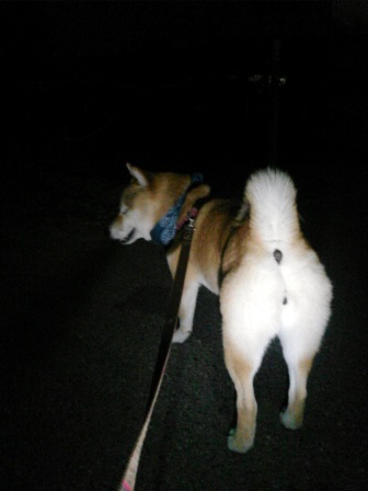 ���т����̂܂�������L�B