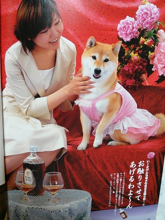 ���т����̂܂�������L�B