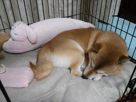 ���т����̂܂�������L�B